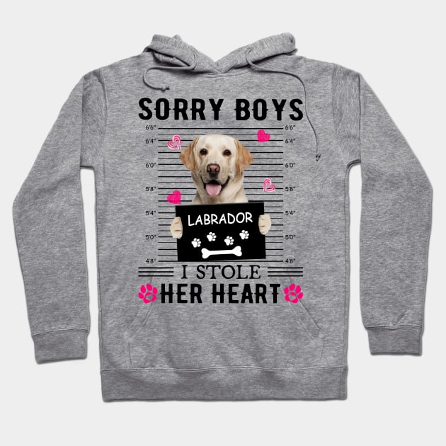 Yellow Labrador Sorry Boys I Stole Her Heart Valentine Hoodie by PlumleelaurineArt